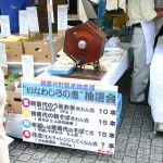 resize8650