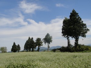 resize9170
