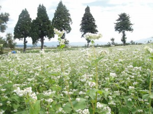 resize9189